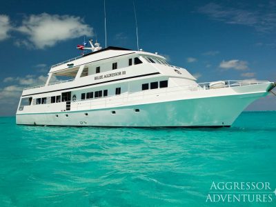 Belize Aggressor III scuba dive liveaboard in Belize