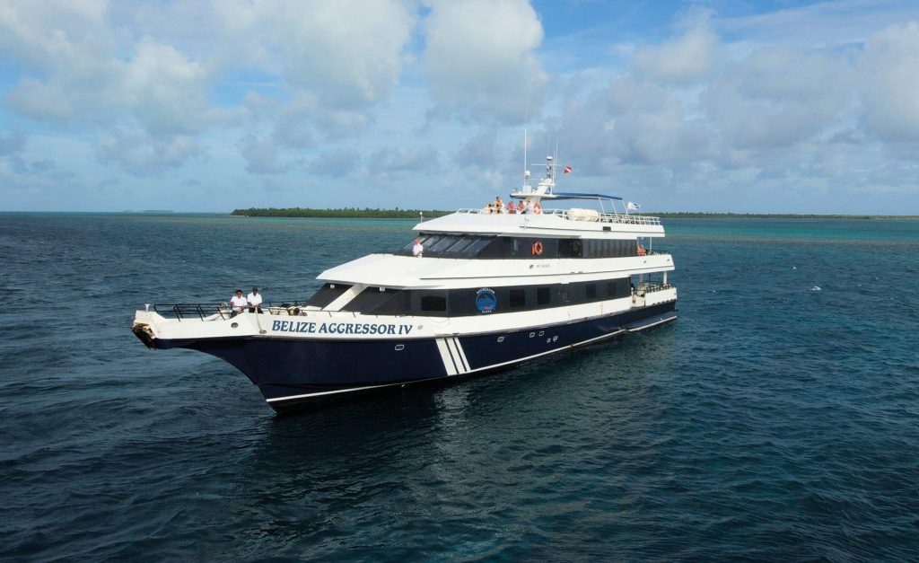 Liveaboard Diving Adventures | Maduro Dive Packages