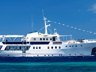 Pelagian Liveaboard - Southeast Sulawesi, Indonesia