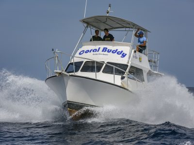 Buddy Dive Resort - Bonaire scuba dive boat