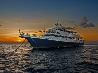 Caribbean Explorer II - St. Kitts, St. Maarten, Saba liveaboard