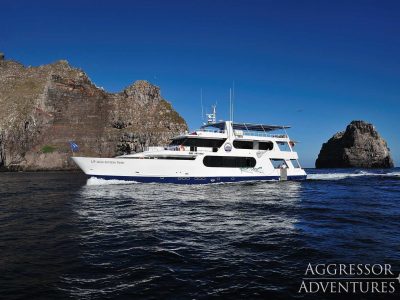 Galapagos Aggressor III - Galapagos Islands liveabaord