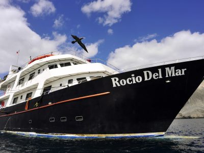 Rocio Del Mar - Sea of Cortez, Mexico liveaboard