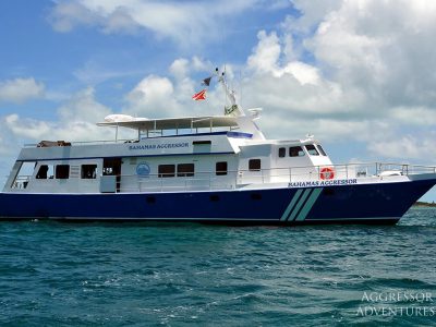 Bahamas Aggressor Liveaboard - Nassau, Freeport, Turks & Caicos, Belize, BVI, Bahamas