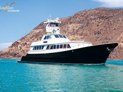 Nautilus Gallant Lady Liveaboard - Sea of Cortez, Mexico