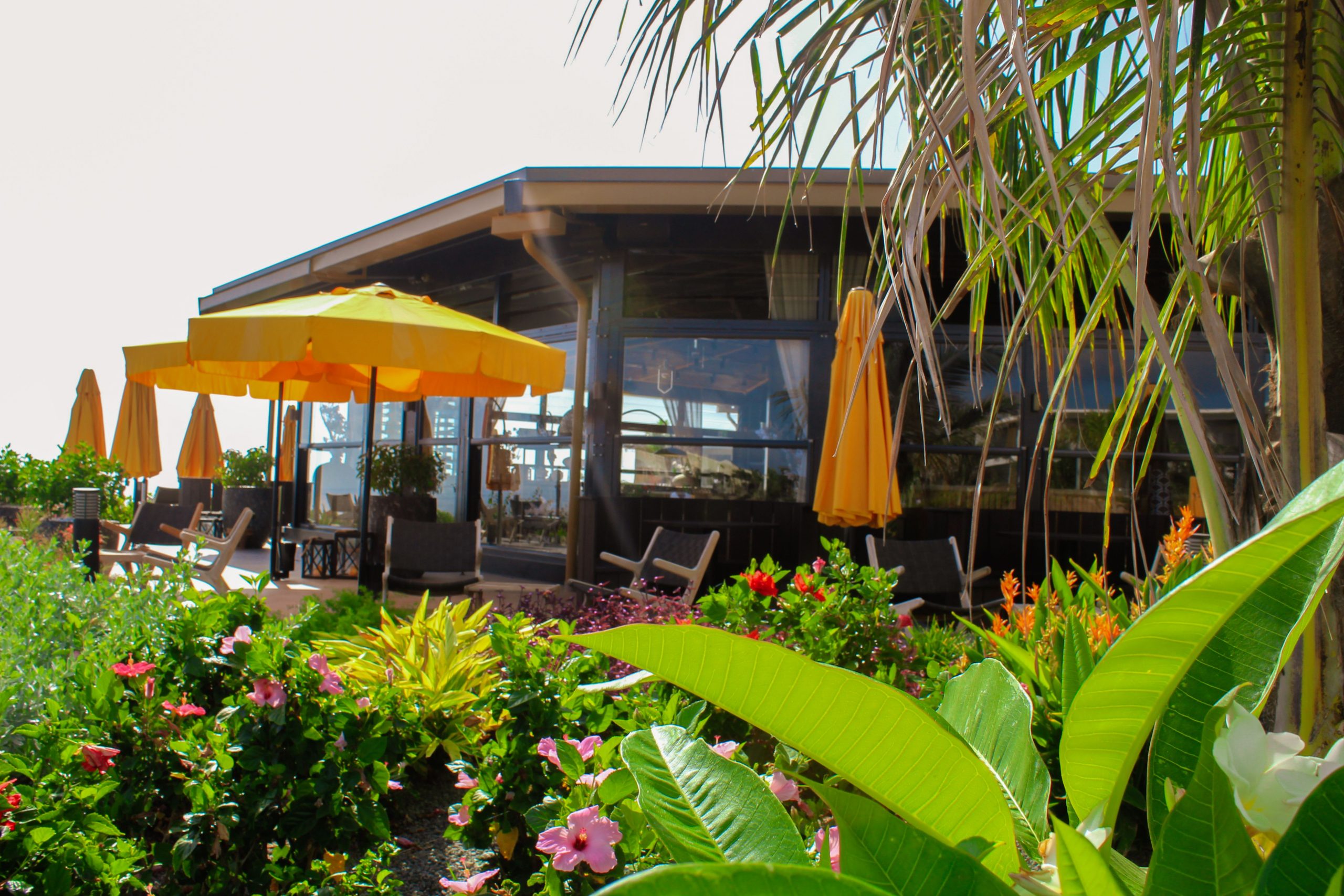 Golden Rock Dive & Nature Resort - St. Eustatius restaurant