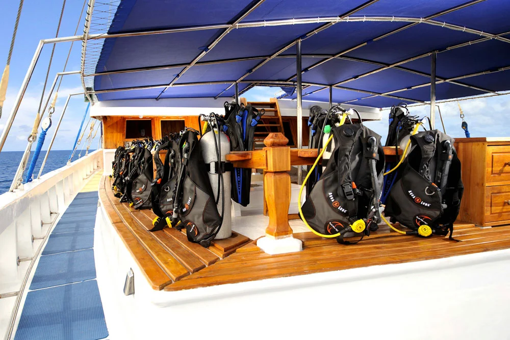 Palau Siren - Palau, Micronesia Liveaboard